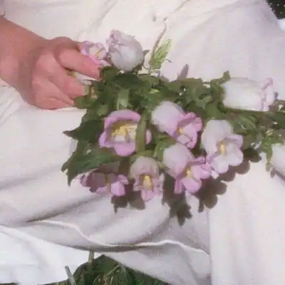 手拿一束花的唯美图片真实鲜花花束图片大全