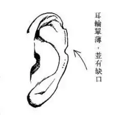 女人面相算命图解三