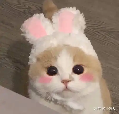 可爱萌宠头像图片