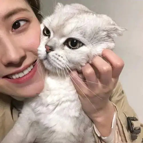 头像很多人最后的关系就是没有关系