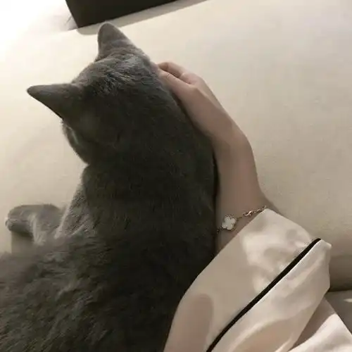 小丑头像自嘲系列图片是