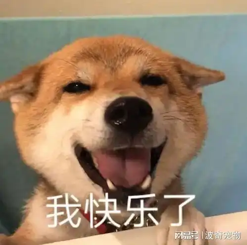 一晚上连炫16颗生鸡蛋,偷吃柯基秒变粑粑喷射基