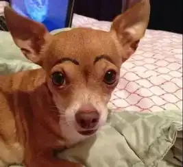 面对这样的爸妈,只有一句话同一个世界,同一个爸妈