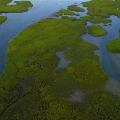 静谧平静的沼泽自然风景微信头像图片