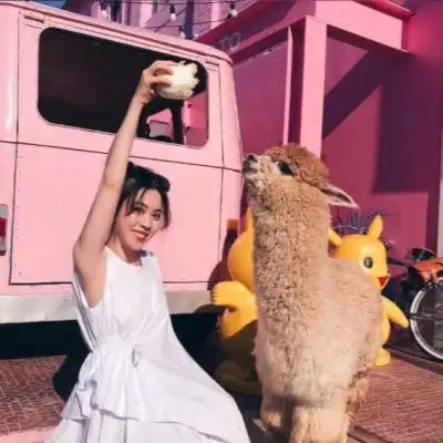 粉色系头像,少女与动物