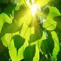 一米阳光头像图片微信头像图片大全