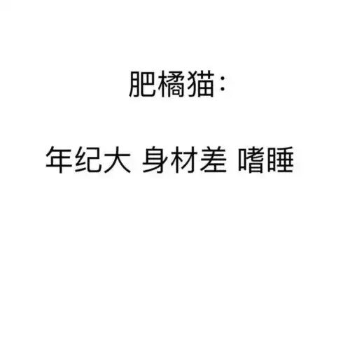 继犬系男孩之后,您的猫系女孩已上线
