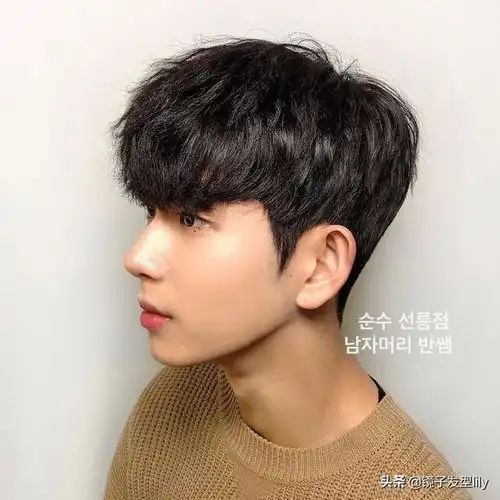 今夏流行小奶狗发型,比两侧铲光更自然帅气,适合年轻男士