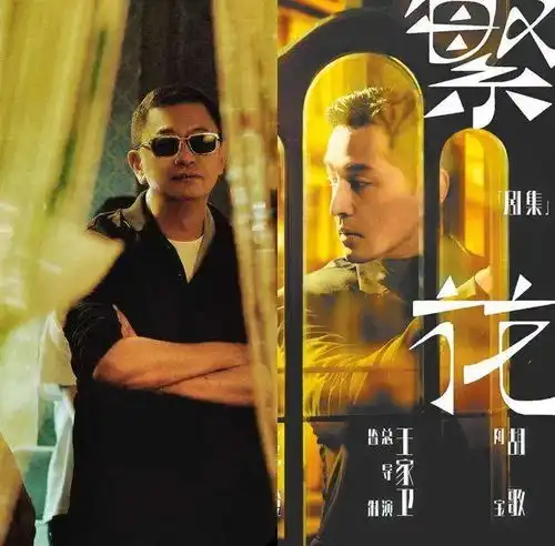 究竟是怪我自己,还是怪王家卫故作高深的背后,藏着真相