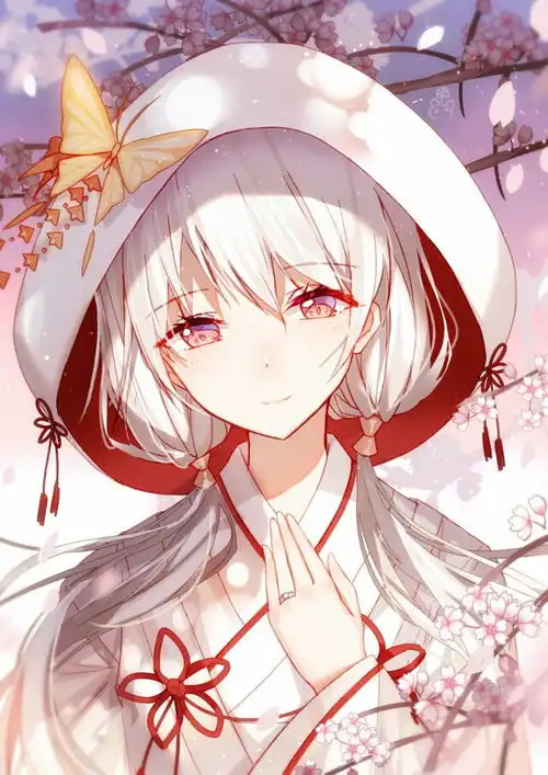 二次元人物杂图