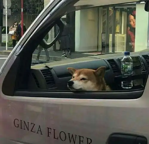杂.治愈系风景我想陪你的又何唯美图片我要个性网