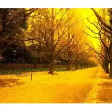 秋季保养车几个窍门