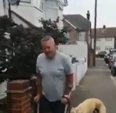 男子花费300英镑为宠物狗治瘸腿,后发现这傻狗只是在学自己