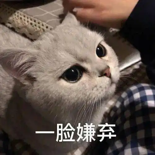 阵风七到八级天津双预警齐发冷空气一波接一波