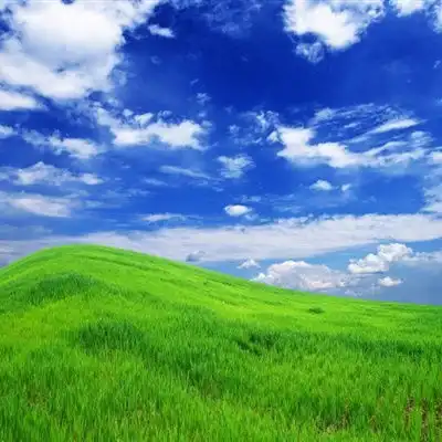清新绿色风景头像,最好看的绿色护眼的草地风景图片