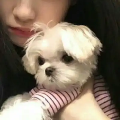 自用情侣头像,男朋友不是r系列.