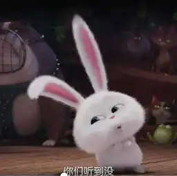 爱宠大机密丽颖微博头像小兔子各种照,这些剧情记得真爱粉么