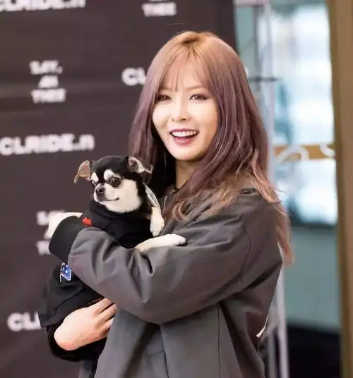 羡慕泫雅的发量少女力max护发法则了解一下