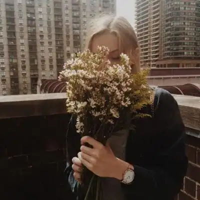 沃尔夫冈波尔契特夜里老鼠是睡觉的