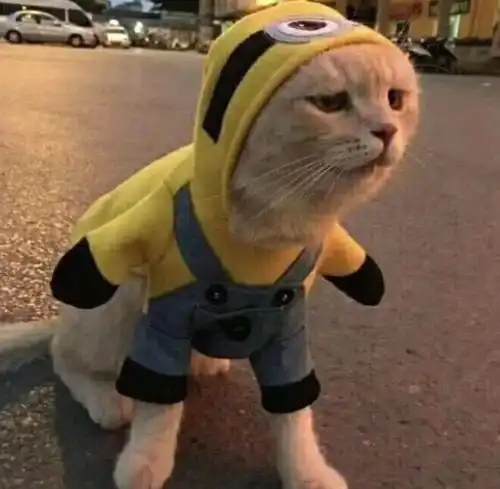 文案如果巅峰留不住