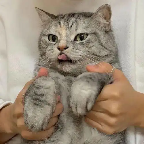 微信头像百看不厌