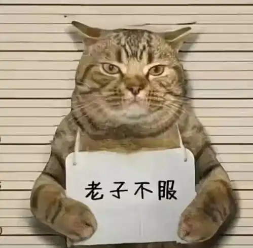 好看好玩又搞怪的头像壁纸