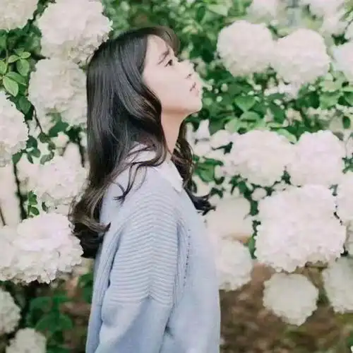 值得收藏的网名