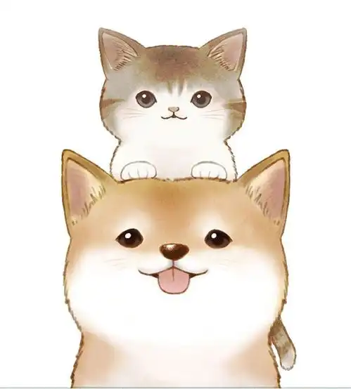 谈法,你缺的不是何以琛