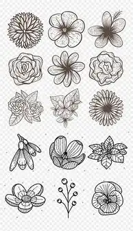 黑白花卉卡通手绘黑白玫瑰花图案手绘月季玫瑰花水墨图片素材模板下载222.23mb其他大全自然