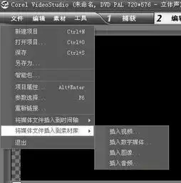 会声会影为什么打不开视频