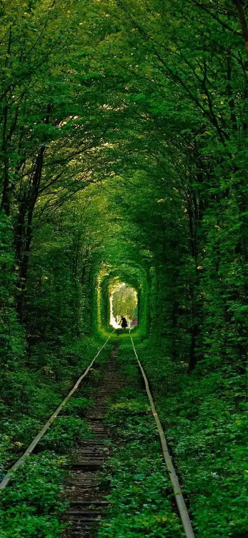 农农养眼季系列原来绿色这么好看第二集