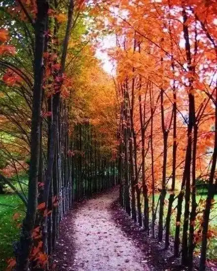 你只负责好好做人,上天自有安排