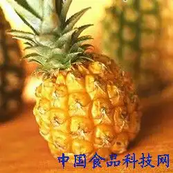 瘦身必知15种吸脂食物让你越吃越瘦