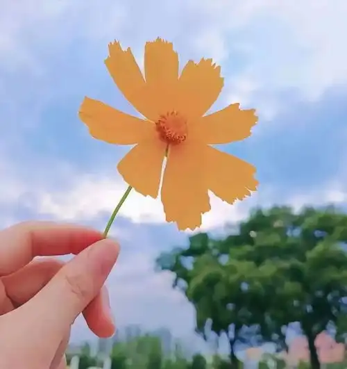 值得你长期不换的头像