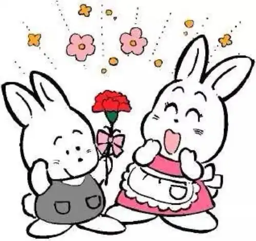 火遍全球的日本主妇收纳,堪称变态级别...