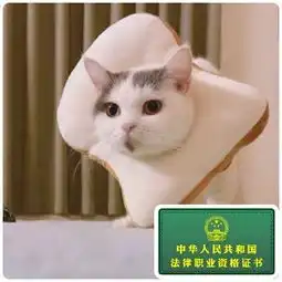 您的法考小绿本已送达,请注意查收内含福利