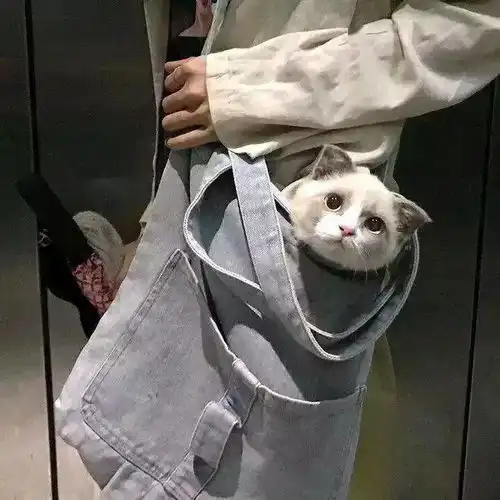 闺蜜头像人来人往,但愿勿失勿忘