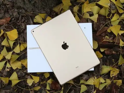 感受华丽视觉体验苹果ipadpro热销中