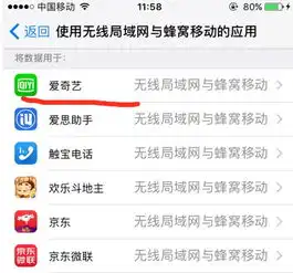为何苹果手机下载软件后显示没网络