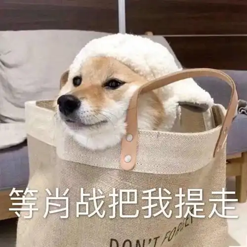 肖战工作室微博粉丝突破800万小飞侠纷纷加入催更行列