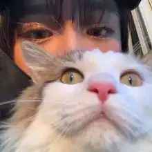 女生头像丨我会重新开始的余生互不打扰