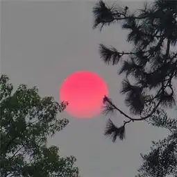 抖音头像图片风景图