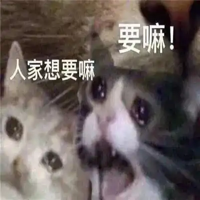 合法但有病的发疯小猫表情包
