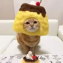 精选130张热门头像,找不到喜欢的算我输