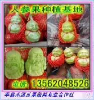 其他未分类