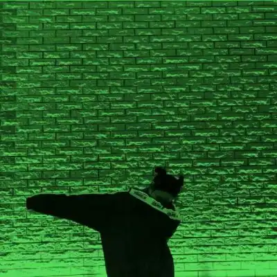 绿色系列情头一人一张一辈子不绿ni