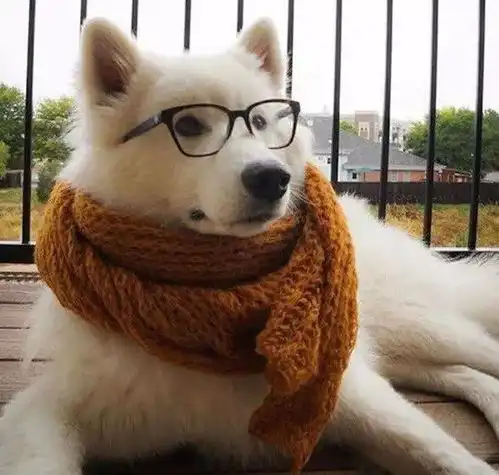 瞬间懵得一脸,没想到啊没想到爆笑囧图