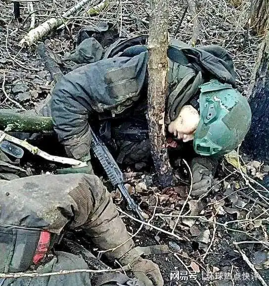 泽连斯基指责俄罗斯让朝鲜军人送死,被俘的朝军都因伤重死亡