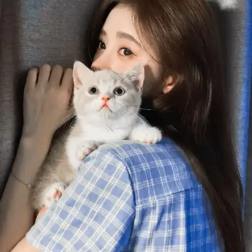 鞠婧祎和小奶喵是有多像呀,简直是奶喵本喵