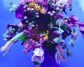 本尾久子贪婪的荒木经惟与极致的人生之花